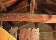 屋根裏の蜂の巣駆除