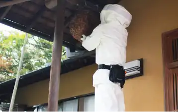 蜂の巣駆除サービスの流れ ステップ3