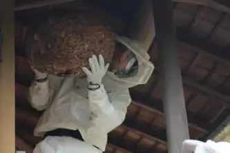 作業完了・お支払い