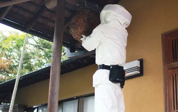ハチ駆除の流れ3