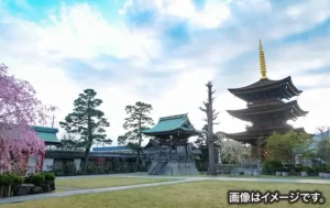 埼玉県蕨市イメージ