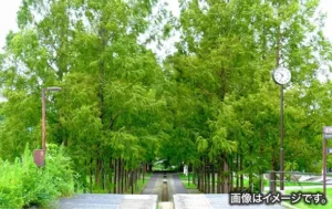兵庫県西脇市イメージ