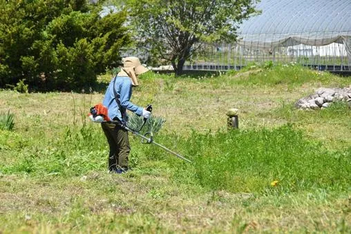 草刈り前に確認すべきスズメバチの巣