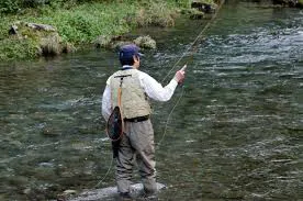 釣り場でハチに遭遇しないための予防法