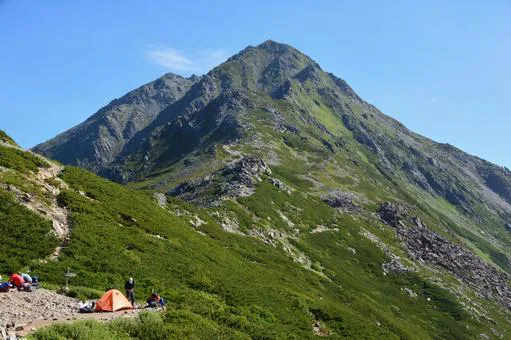 登山中にスズメバチの巣を発見したときの対策