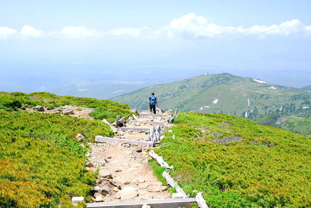 子供連れの登山での蜂対策